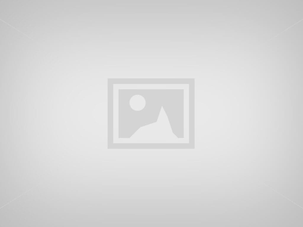 WORLDWISE S CORPORATION